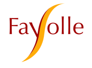Logo partenaire société FAYOLLE